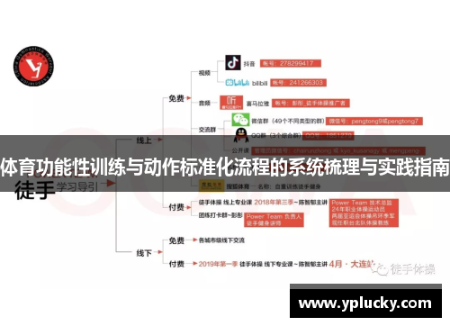 体育功能性训练与动作标准化流程的系统梳理与实践指南