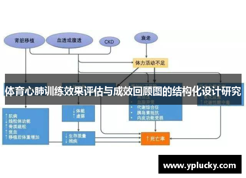 体育心肺训练效果评估与成效回顾图的结构化设计研究